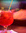 cocktail alien