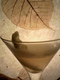 cocktail frisco