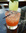 cocktail gin cocktail