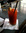 cocktail red snapper