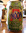 cocktail typhoon