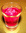 cocktail zombie